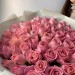 Букет из 51 коралловой розы