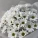 Цветочная поэзия